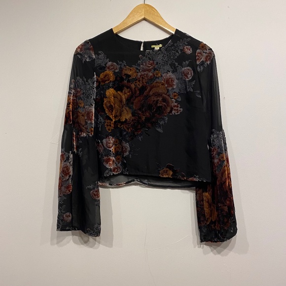 Gianni Bini Black Velvet Floral and Sheer Sleeve Whimsygoth Fairy Blouse Size XS - Picture 1 of 5
